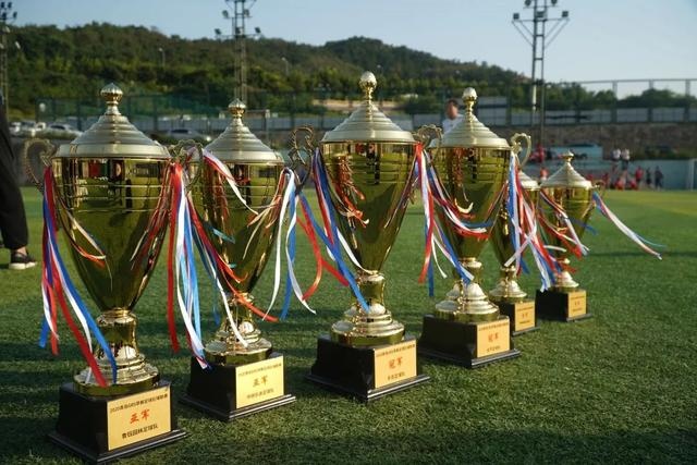 羽毛球亚锦赛：石宇奇王祉怡晋级决赛 国羽提前包揽女双冠亚军